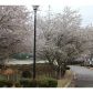 232 Rose Cottage Drive, Woodstock, GA 30189 ID:12318998