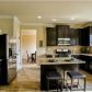 284 Huntleigh Chase Drive, Dallas, GA 30132 ID:12091834