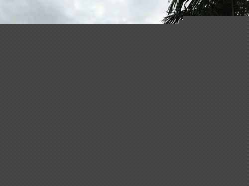 2000 BUCHANAN ST # 23, Hollywood, FL 33020