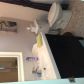 5300 WASHINGTON ST # 312V, Hollywood, FL 33021 ID:12192123
