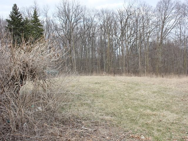 11755 New Lothrop Rd, Byron, MI 48418