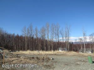 9099 E Silver Spring Circle, Palmer, AK 99645
