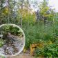 Lot 1 Page Rd, Lowell, VT 05847 ID:12285401