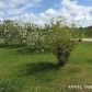 8401 Fantasia Park Way, Riverview, FL 33578 ID:12585501