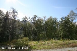 L4 B5 Panther Drive, Eagle River, AK 99577