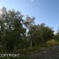 L4 B5 Panther Drive, Eagle River, AK 99577 ID:12597033