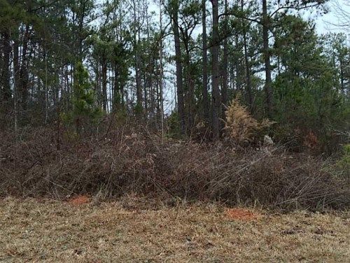 528 Great Oak Place, Villa Rica, GA 30180