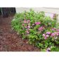 605 Overhill Drive, Woodstock, GA 30189 ID:12594776