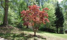 3761 Hollow Tree Lane Lilburn, GA 30047