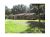 Cr 421 Lake Panasoffkee, FL 33538