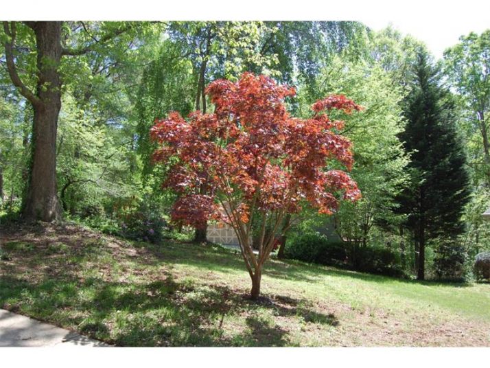 3761 Hollow Tree Lane, Lilburn, GA 30047