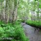 850 S Hyer, Wasilla, AK 99654 ID:12420970