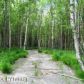 850 S Hyer, Wasilla, AK 99654 ID:12420971