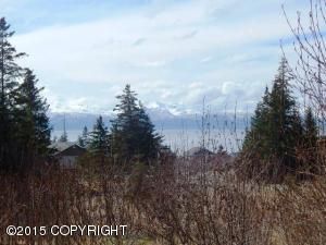 701 Daybreeze Court, Homer, AK 99603