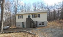 1204 Bear Drive Bushkill, PA 18324