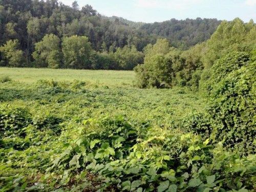 00 War Creek Rd., Thorn Hill, TN 37881