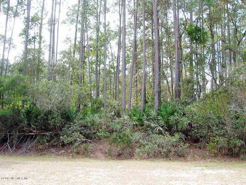 305 SABAL PALM CT, Georgetown, FL 32139