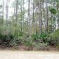 305 SABAL PALM CT, Georgetown, FL 32139 ID:12278351