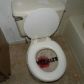12 Steeplechase Ct, Somerset, NJ 08873 ID:12637107