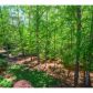 4315 White Hickory Lane Nw, Kennesaw, GA 30152 ID:12685818