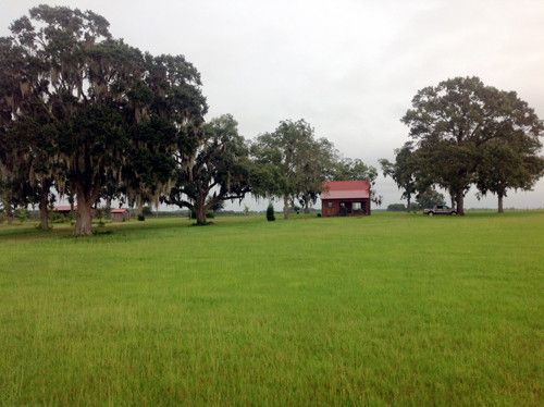 8584 NE Old Blue Springs Rd, Lee, FL 32059