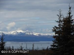 54247 Walters Court, Homer, AK 99603