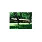 4240 Nelby Drive, Stone Mountain, GA 30083 ID:12605831