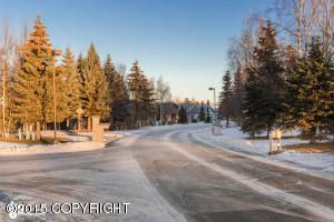 L4 B1A Chiniak Bay Drive, Anchorage, AK 99515