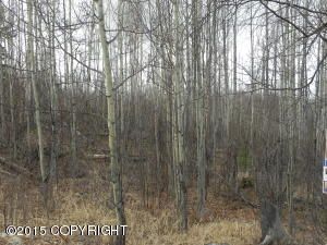2940 S Knollwood Drive, Big Lake, AK 99652