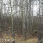 2940 S Knollwood Drive, Big Lake, AK 99652 ID:12410325
