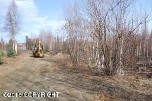 15712 W Beaver Tail Drive, Big Lake, AK 99652