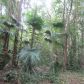 15000 SW 26 ST, Fort Lauderdale, FL 33326 ID:12748368