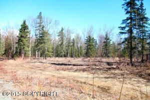 1055 N ZAKANDRA Circle, Wasilla, AK 99654