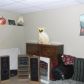 2119 Shadygrove Walk, Austell, GA 30168 ID:12697935
