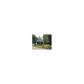 228 Fowler Street, Woodstock, GA 30188 ID:12730297