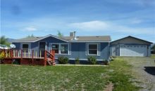 21129 Mountain Village Dr Eckert, CO 81418