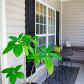 308 Vineyard Drive, Dallas, GA 30132 ID:12779134