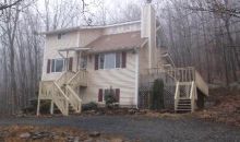 343 Lower Mountain Dr Effort, PA 18330