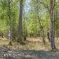 L9 B1 N Showers Street, Palmer, AK 99645 ID:12781148
