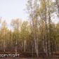 8549 E Wolf Creek Road, Palmer, AK 99645 ID:12781315