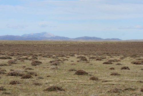 '27 Bold Venture Road', Medicine Bow, WY 82329