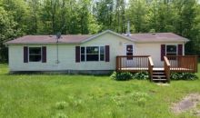 5608 Caine Rd Pierpont, OH 44082