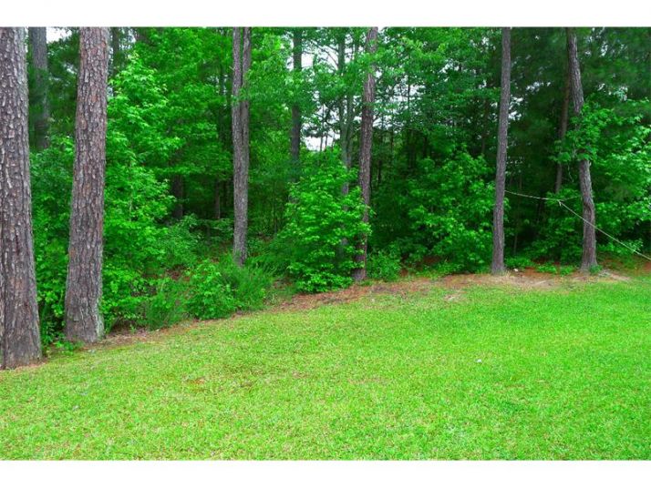 4419 Ashlyn Rebecca Drive, Snellville, GA 30039