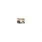 786 Sienna Valley Drive, Braselton, GA 30517 ID:12833523