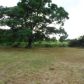 123 Cr 357a, Gause, TX 77857 ID:12765343