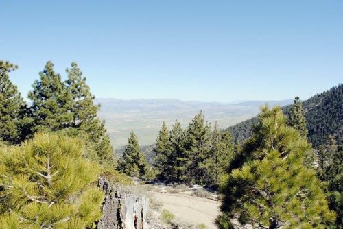 0 Kingsbury Grade, Stateline, NV 89449