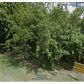 1780 SW 117 AVE, Fort Lauderdale, FL 33325 ID:12855017