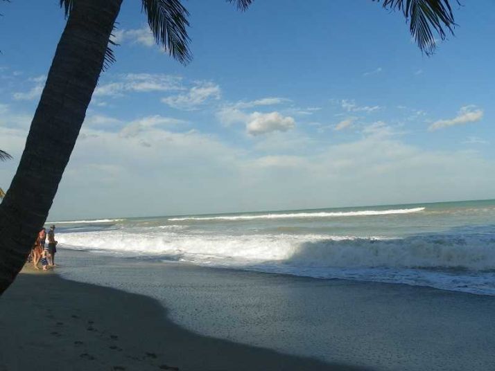 2030 S OCEAN DR # 1116, Hallandale, FL 33009