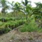 28050 SW 400 ST, Homestead, FL 33034 ID:12909553