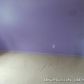 8415 Calm Ln, Louisville, KY 40219 ID:12886323